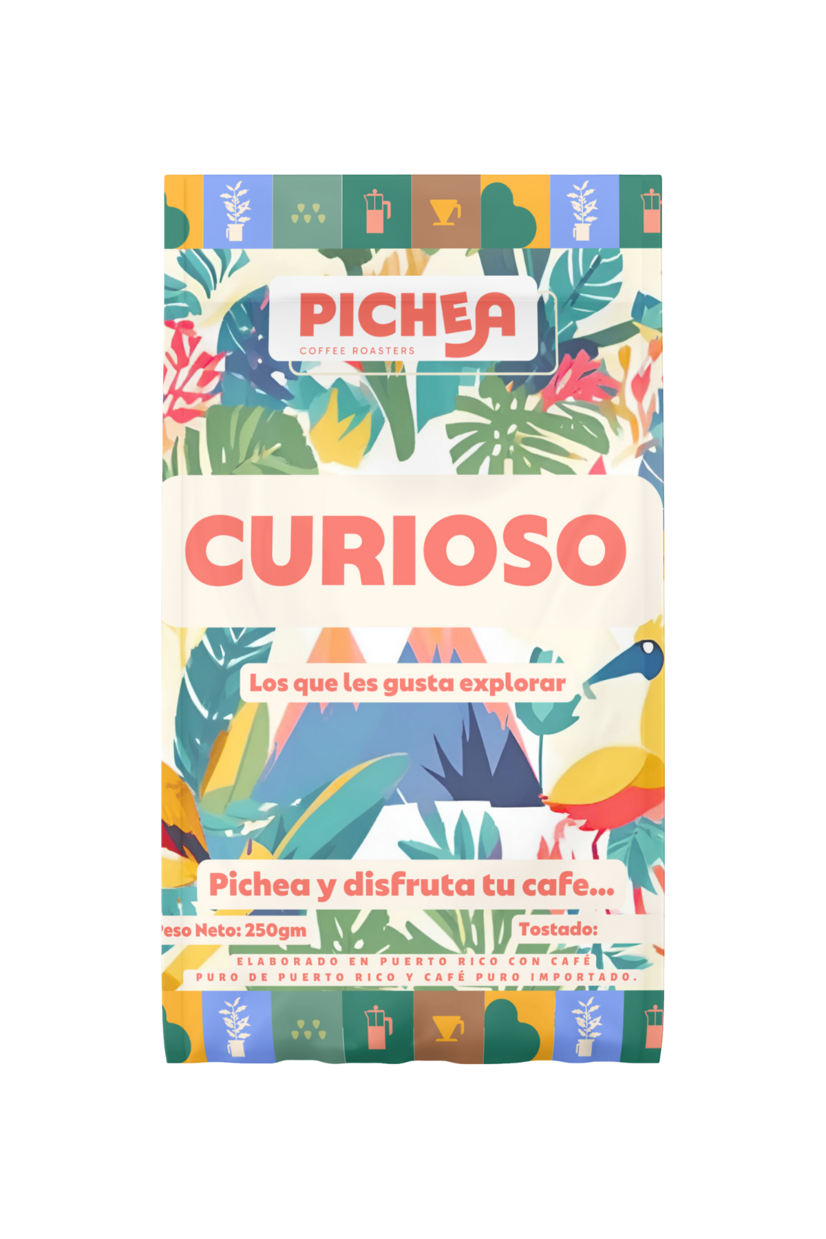 🔎 Curioso – Explora Orígenes y Procesos