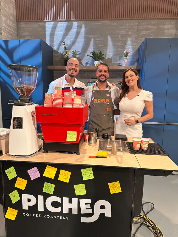 Activación de Pichea con AGMU